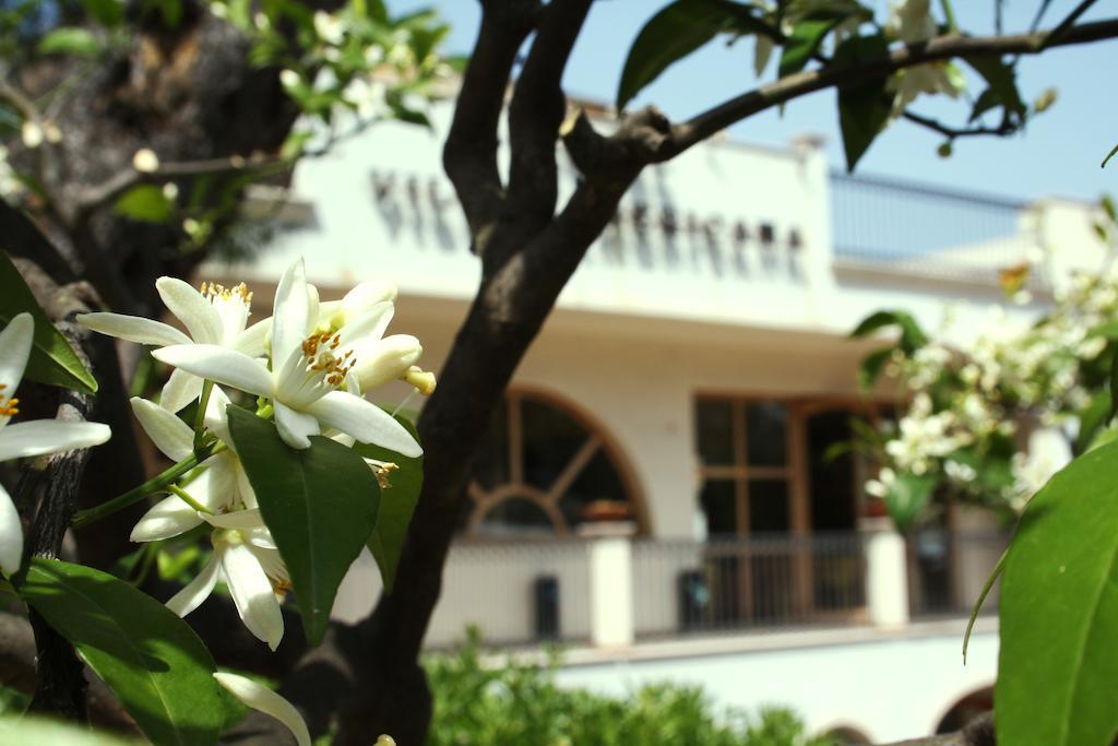 Park Hotel Villa Americana Rodi Garganico Exterior foto